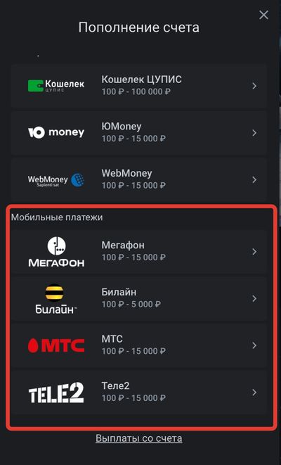 Пополнение счета через мобильные операторы