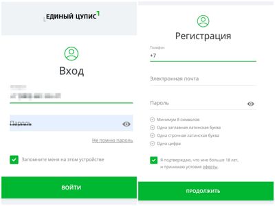 Авторизация и регистрация на сайте ЦУПИС